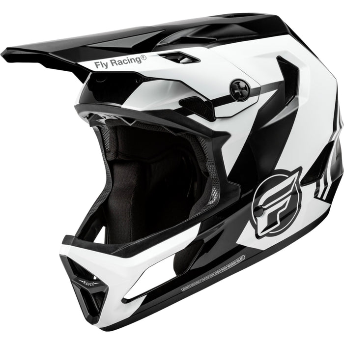 Fly Racing Rayce Helmet