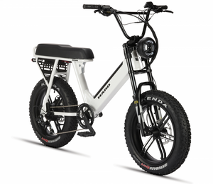 Haro Skwad 1 Electric Bike