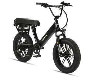 Haro Skwad 2 Electric Bike