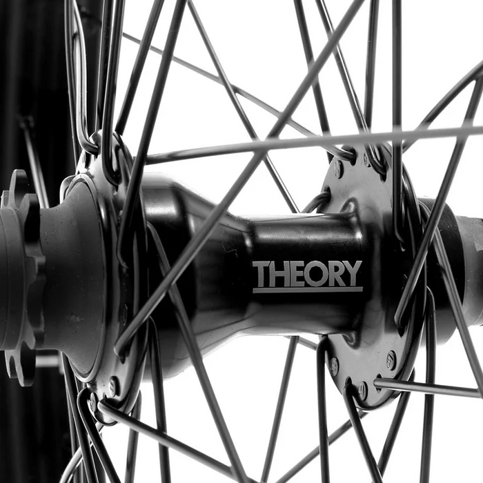 Theory Predict Cassette Wheel