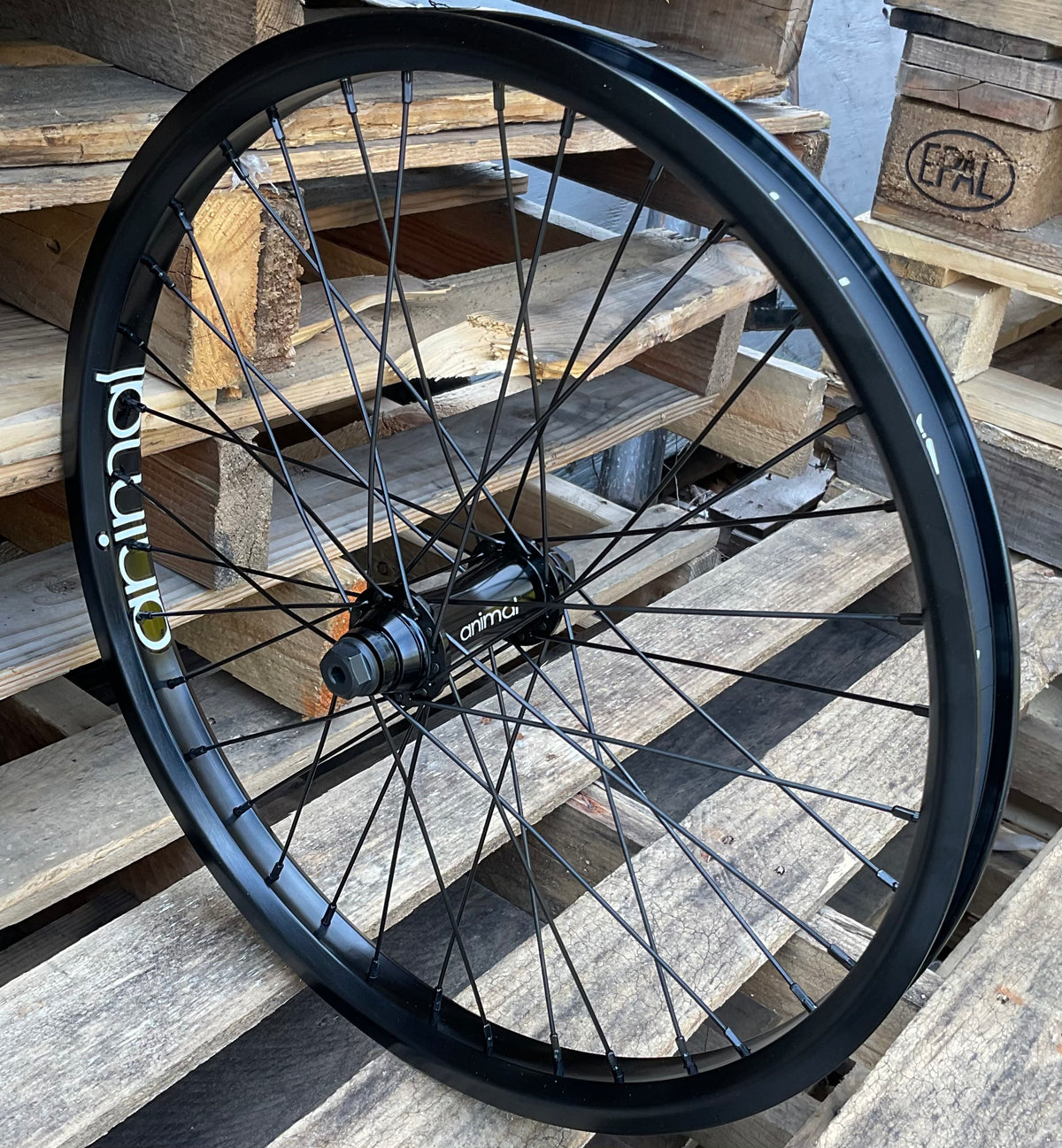 Front BMX Wheels | Albe's BMX Online